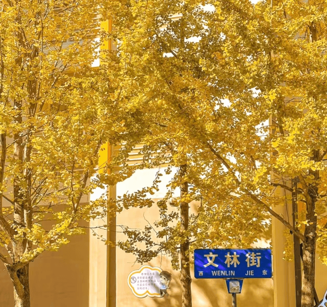 kunming-city-walk-2 kunming-city-walk-2