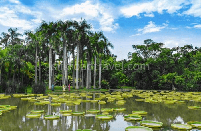 4-days-authentic-xishuangbanna-cultural-journey 4-days-authentic-xishuangbanna-cultural-journey