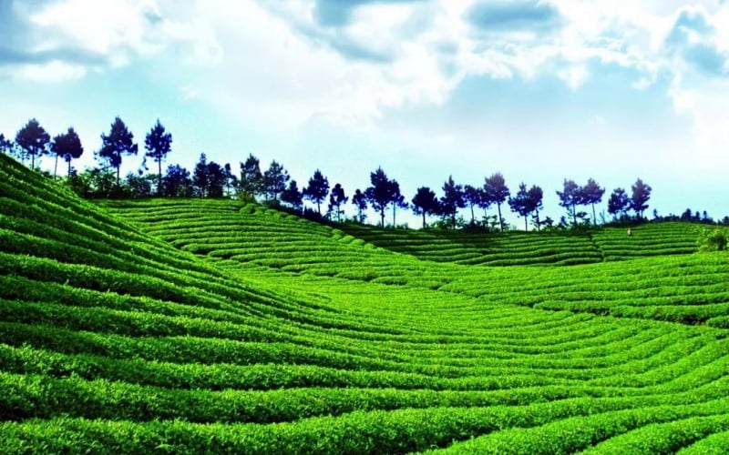 7-days-fujian-panoramic-tour 7-days-fujian-panoramic-tour