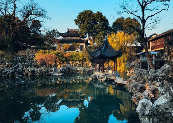 The Lion Grove Garden