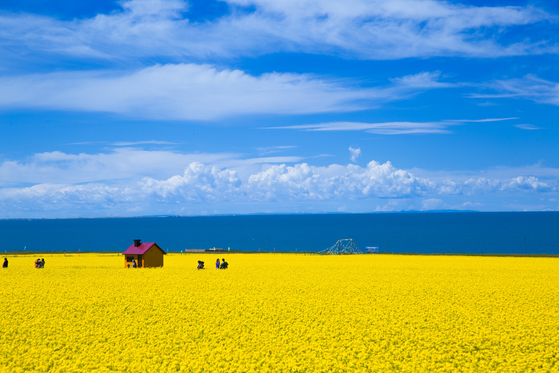 Summer in Qinghai 