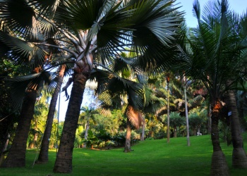 Xiamen Botanical Garden