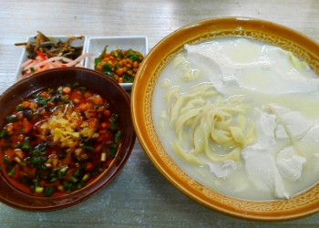 Bean Curd Noodles