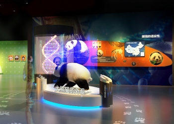 Giant Panda Museum