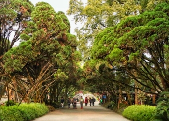 Lidui Park