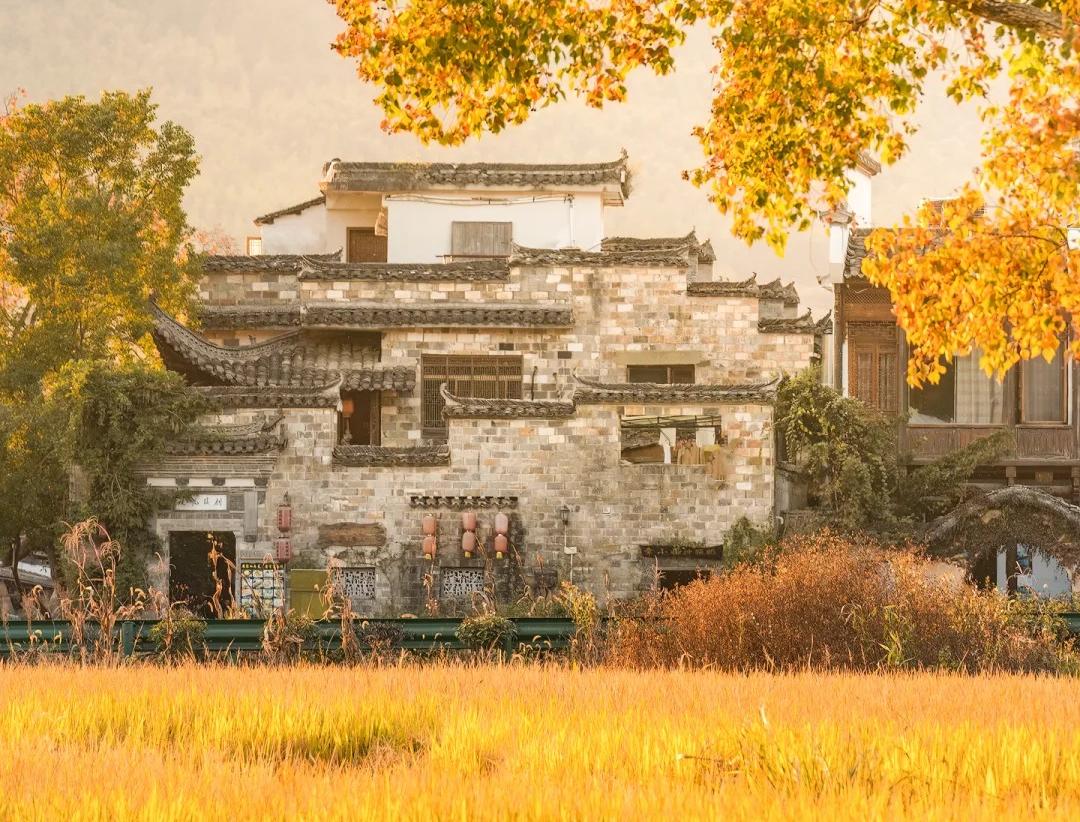 Hongcun autumn.jpg