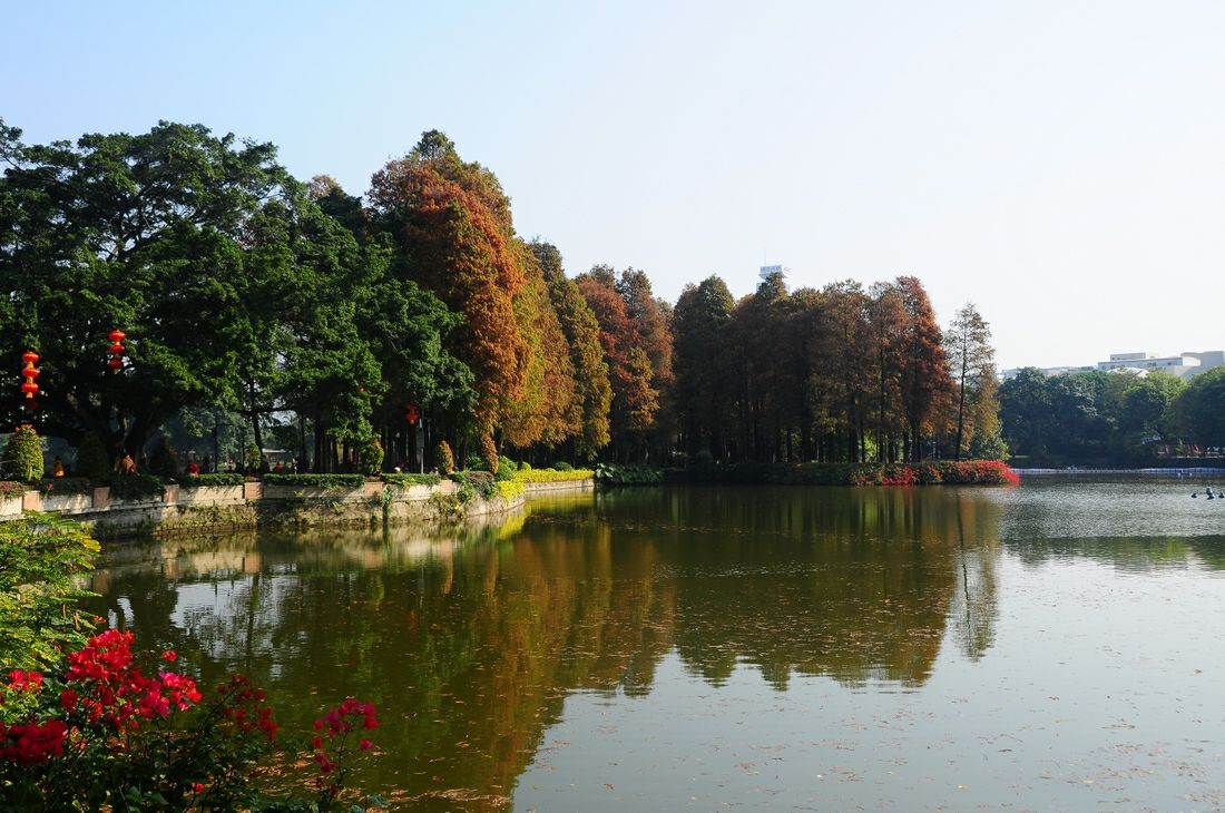 Liuhua Lake Park.jpg