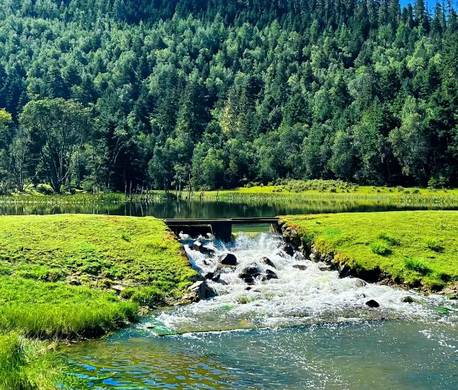 yunnan pudacuo national forest park.png