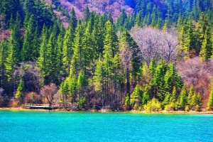 When is the Best Time to Travel to Sichuan