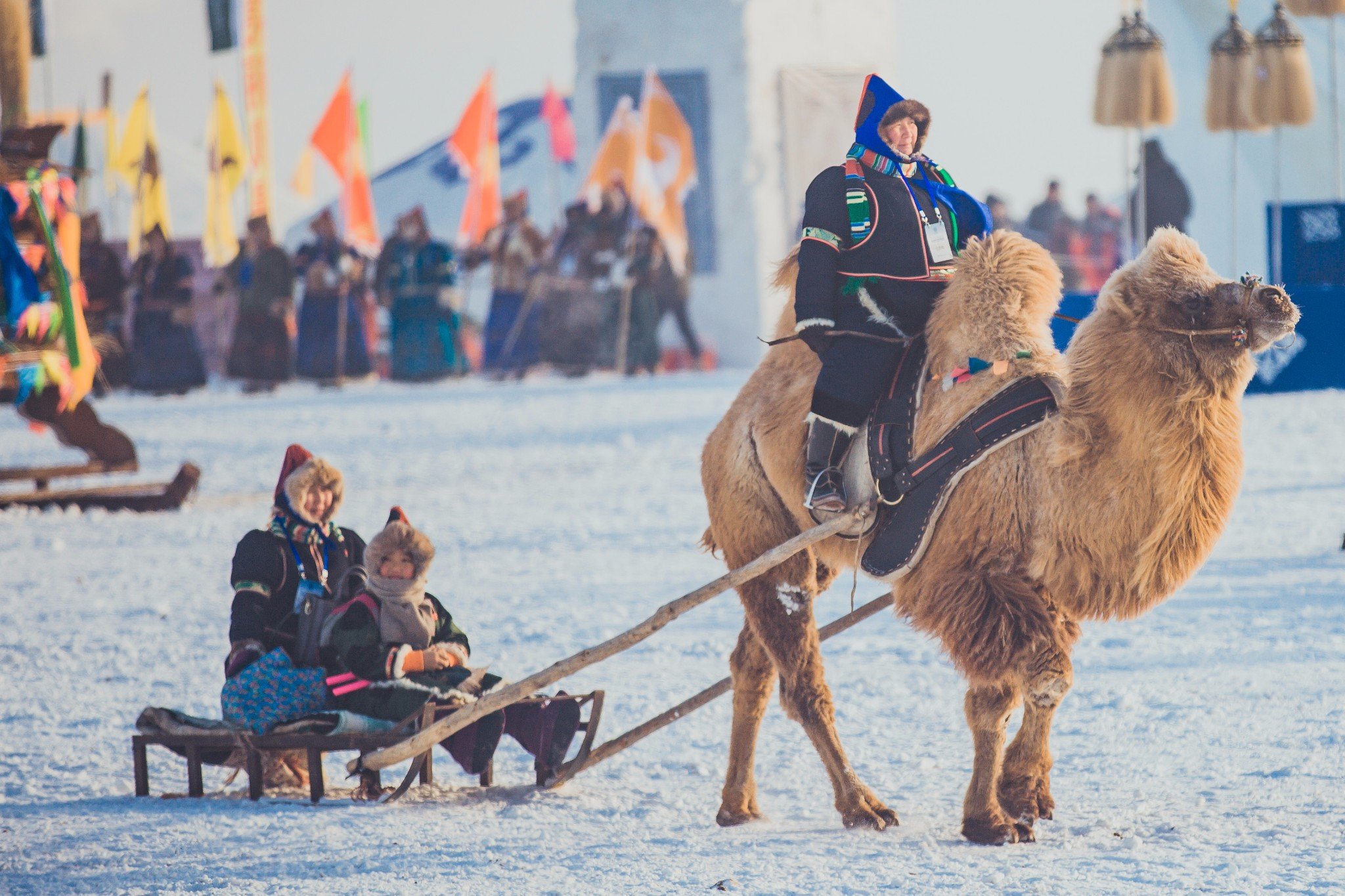 Best Time to Visit Mongolia: Witness Transformation of Seasons