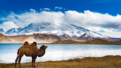 16 Days Silk Road and Yunnan Tour