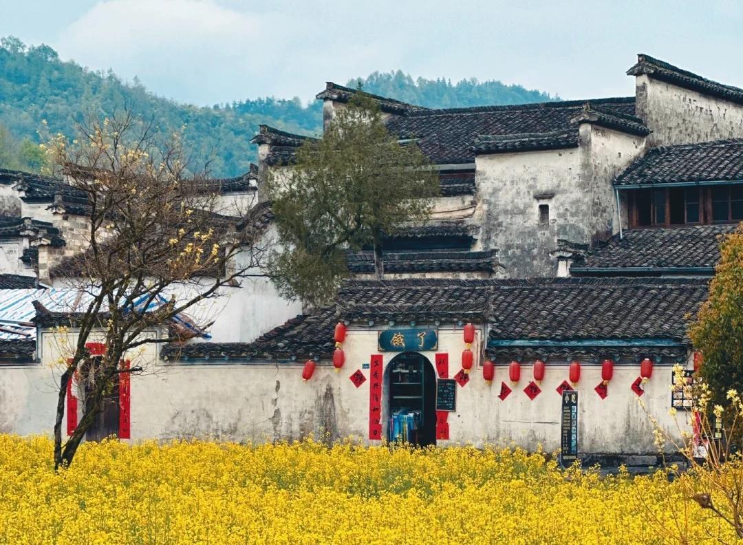6 Days Picturesque Mt. Huangshan & Wuyuan Tour