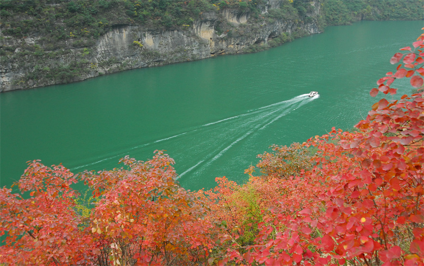 5 Days Yichang-Shennongjia-Chongqing Yangtze River Cruise(Yangzi Explorer)