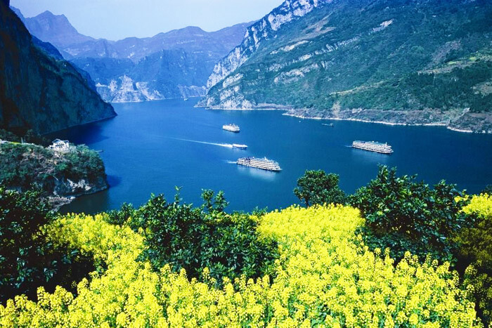 8 Days Chongqing-Shennongjia-Chongqing Yangtze River Cruise(Yangzi Explorer)