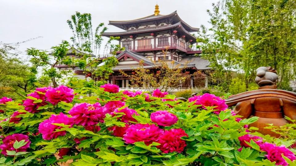 7 Days China Henan Heritage Tour to Luoyang and Kaifeng