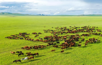 15 Days Inner Mongolian Tour