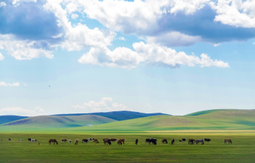7 Days In-depth Experience of the North-South Loop Line in Hailaer, Inner Mongolia